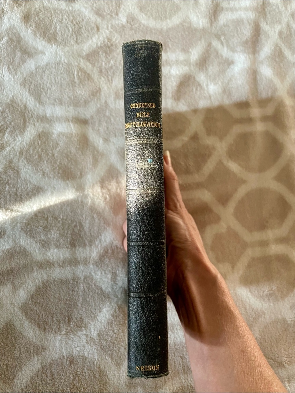 Black Condensed Bible Encyclopaedia - Black
